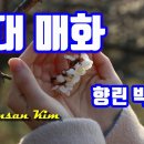향린 이미지