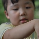 동심 어린이집 이미지