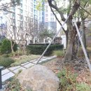 방배로 14 (18) 이미지