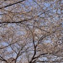 취암동 시민운동장 이미지