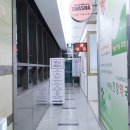 브로우샤샤