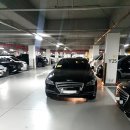 이중주차 단속 없나요? 이미지