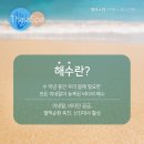 캣제이
