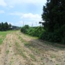 동광리-12 이미지