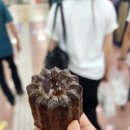 양동문화사