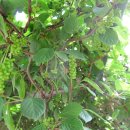 세호농장 이미지