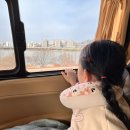 한강켄넬 이미지