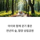 만연산생태숲공원 공중화장실 | 아이와 함께 걷기 좋은 경남 함양 상림공원 힐링 여행지