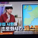 벌거벗은세계사 유럽인구의 1/3을 죽인 살인마 패스트 4 이미지