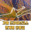 대청봉주유소 | 이게 바로 단풍 드라이브의 끝판왕! 설악산 한계령 가을 정복기