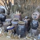 수림밸리펜션 이미지