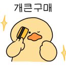 에버독 이미지