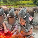 만경문화센터목욕탕 | 화성 봉담 이마트 문화센터 ‘반짝반짝똘망이’ 내돈내산 후기 (김수민강사님)