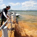 황토바다 이미지