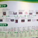 동백초등학교 이미지