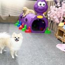 나리 유치원 이미지