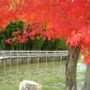 죽향민박 이미지