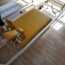 납부필증유형 이미지