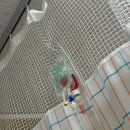 돌곶이효자정형외과의원 이미지