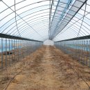 연동목장 이미지