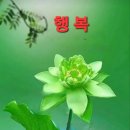 행복한의료기 이미지