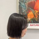 쿠지헤어 이미지