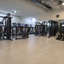 대명휘트니스 | 평촌헬스 엑셀휘트니스 pt 평촌점 운동 헬스장 추천 후기