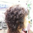 봉곡동143 이미지