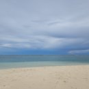 로꼬타코 이미지