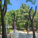 [임신 25주차] 인상파, 찬란한 순간들 전시회 관람 후기