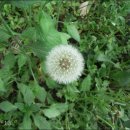 백양사역 이미지