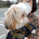 평택항로 이미지