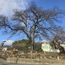 만경읍사무소 이미지