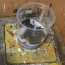 영남제일자동차공업사 | 부평공업사 카컨 후진주차 사고, 범퍼만 갈면 된다고 생각했나요?