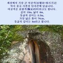양*석 이미지