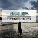 반딧불반찬 | 코타키나발루 봉가완 반딧불 선셋투어 내돈내산 후기 | 현지예약 가격과 일정 복장 추천