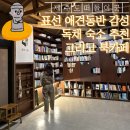 사라보카 | 제주 동쪽 표선 애견동반 감성 숙소, 밤에 가기좋은 북카페 책계일주