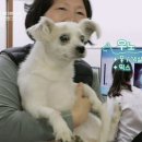 하트동물병원 이미지