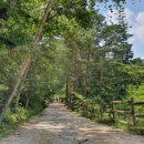 새소리 물소리 이미지