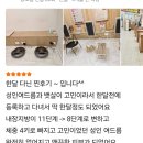 살빼땀빼