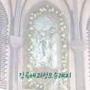 감곡 | [성지] 감곡매괴성모순례지(감곡성당) 성지순례 후기