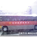 나성관광여행사 Daum카페