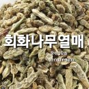 열매건강원