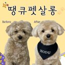 땡큐 펫 살롱 이미지