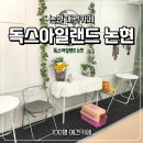 호텔야자강남논현점 | 강남 논현동 애견카페 독스아일랜드 후기｜애견유치원 애견호텔 애견미용까지 한곳에!
