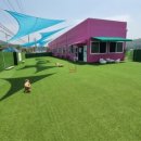 아리댕댕애견카페 이미지