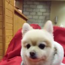 모나코펜션 이미지