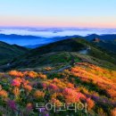 노고단-11 투어코리아