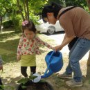 통큰딱따구리 이미지