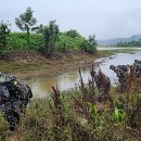 수색-003 이미지